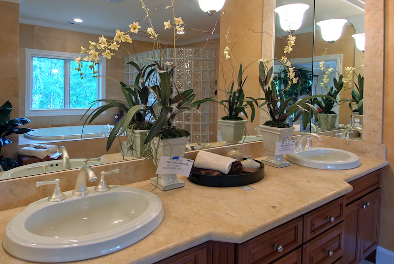 custom bathroom mirror Reedy Creek